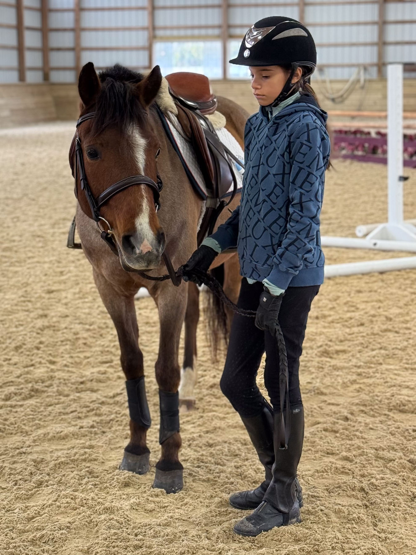 Aerie the horse with rider standing next to her