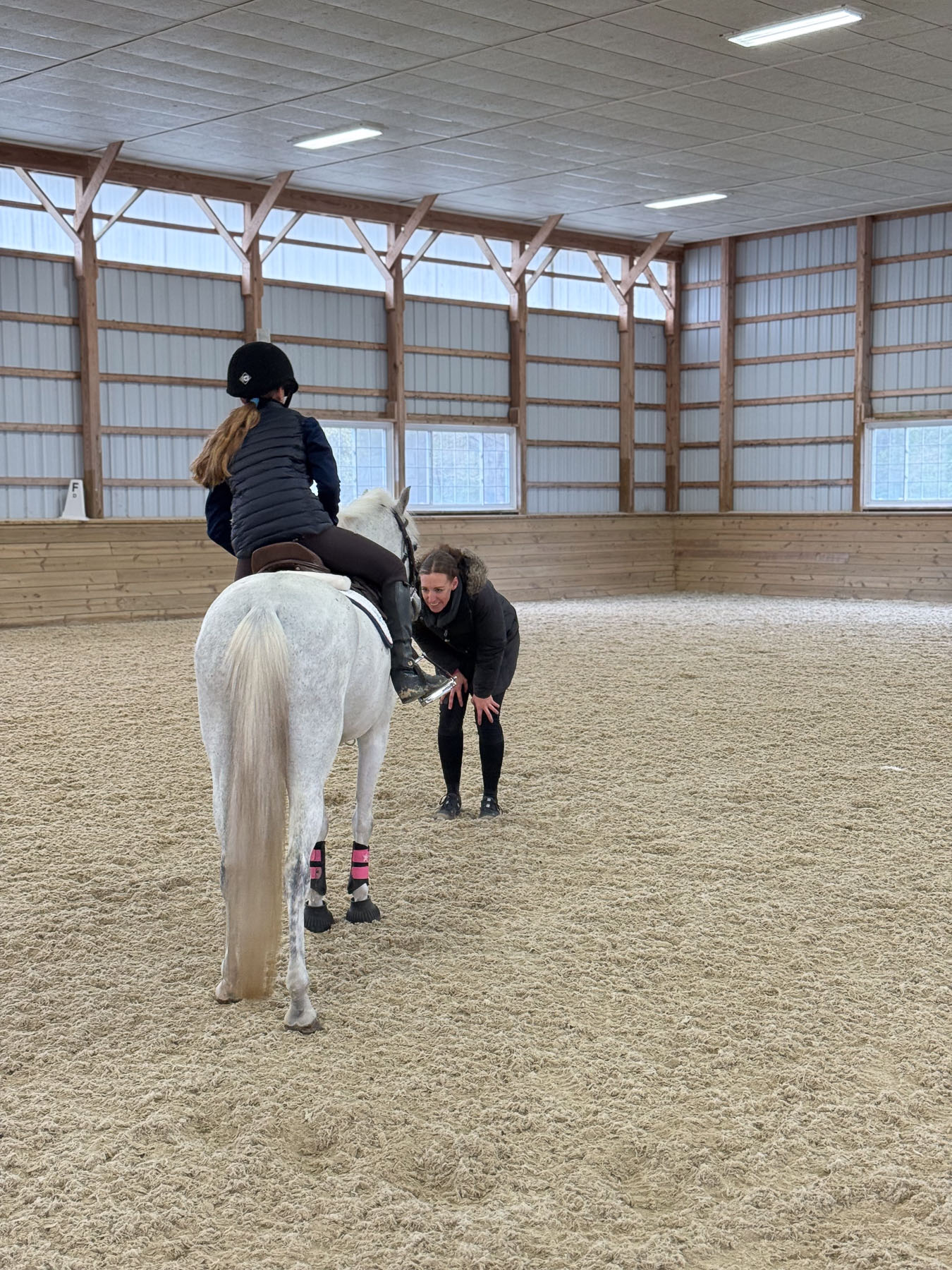 Bo the horse with rider on back from behind