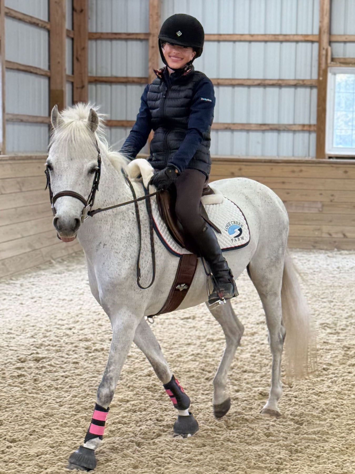 Bo the horse with rider on back walking